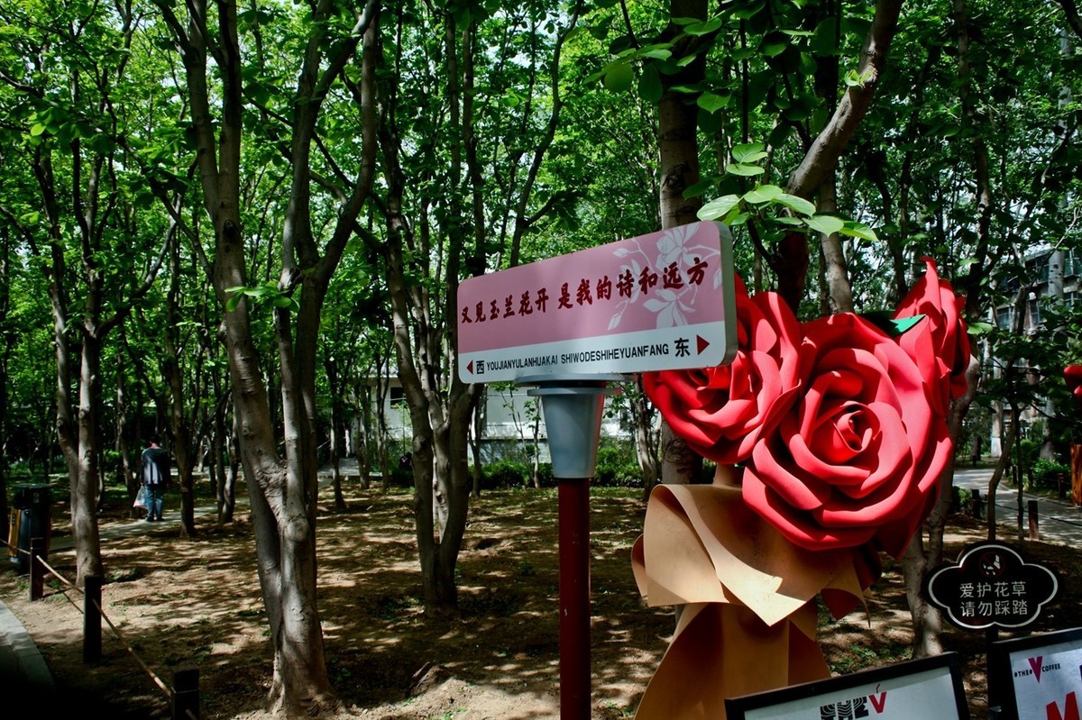 杂拍——春日踏青