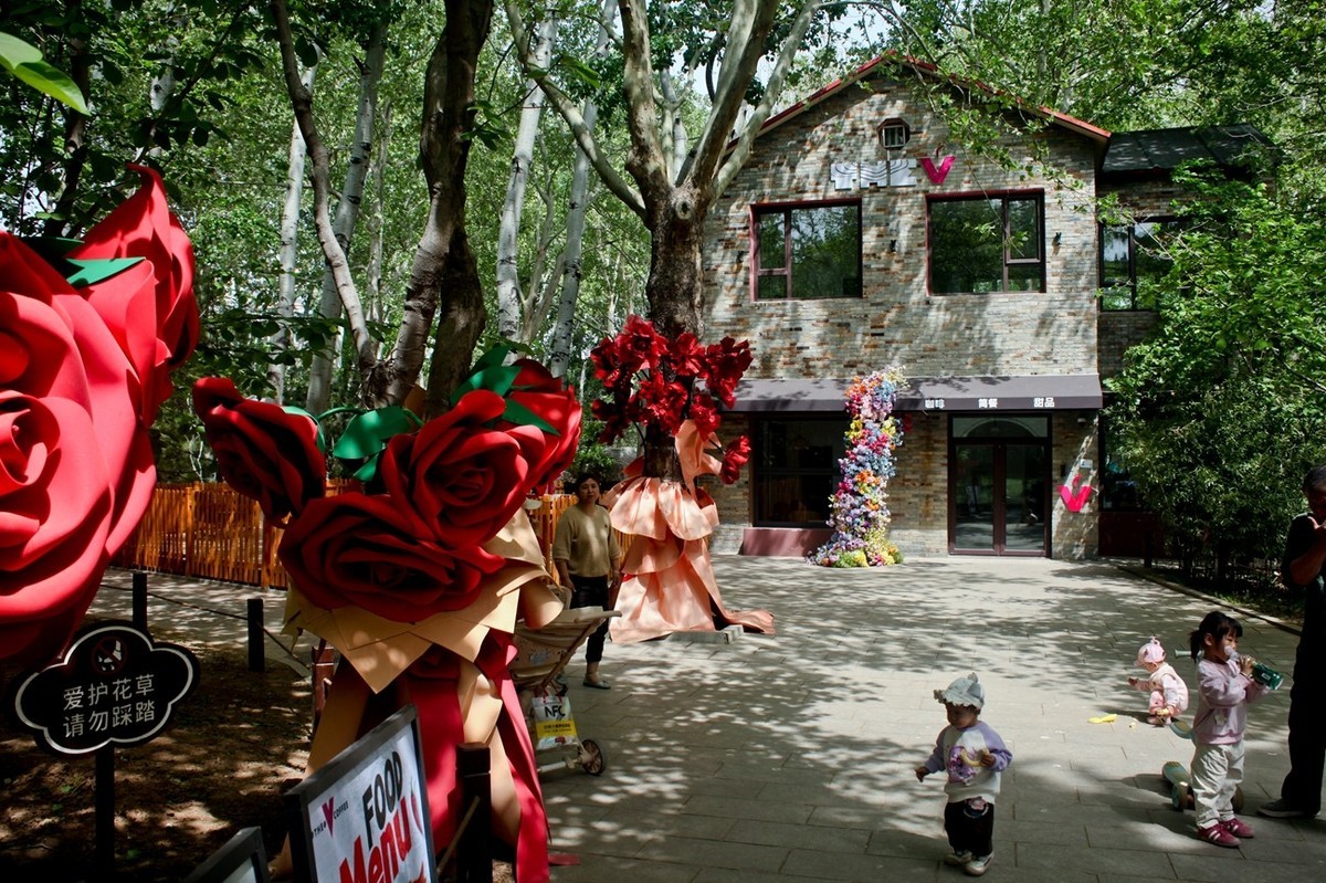 杂拍——春日踏青