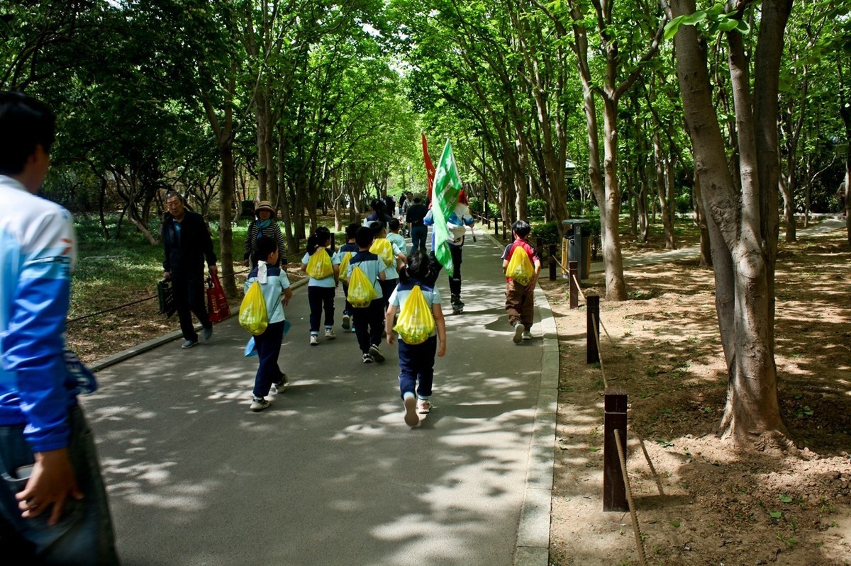 杂拍——春日踏青