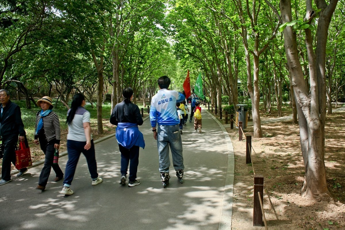 杂拍——春日踏青