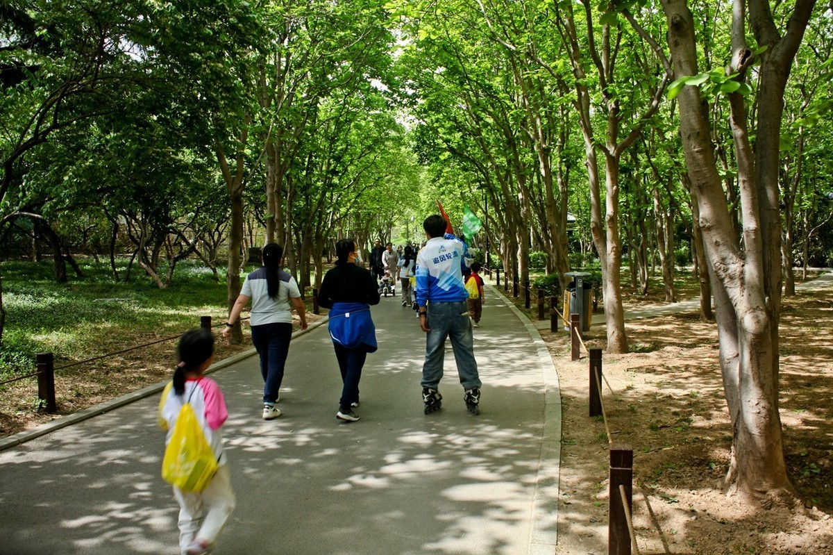 杂拍——春日踏青