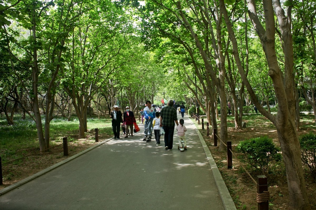 杂拍——春日踏青