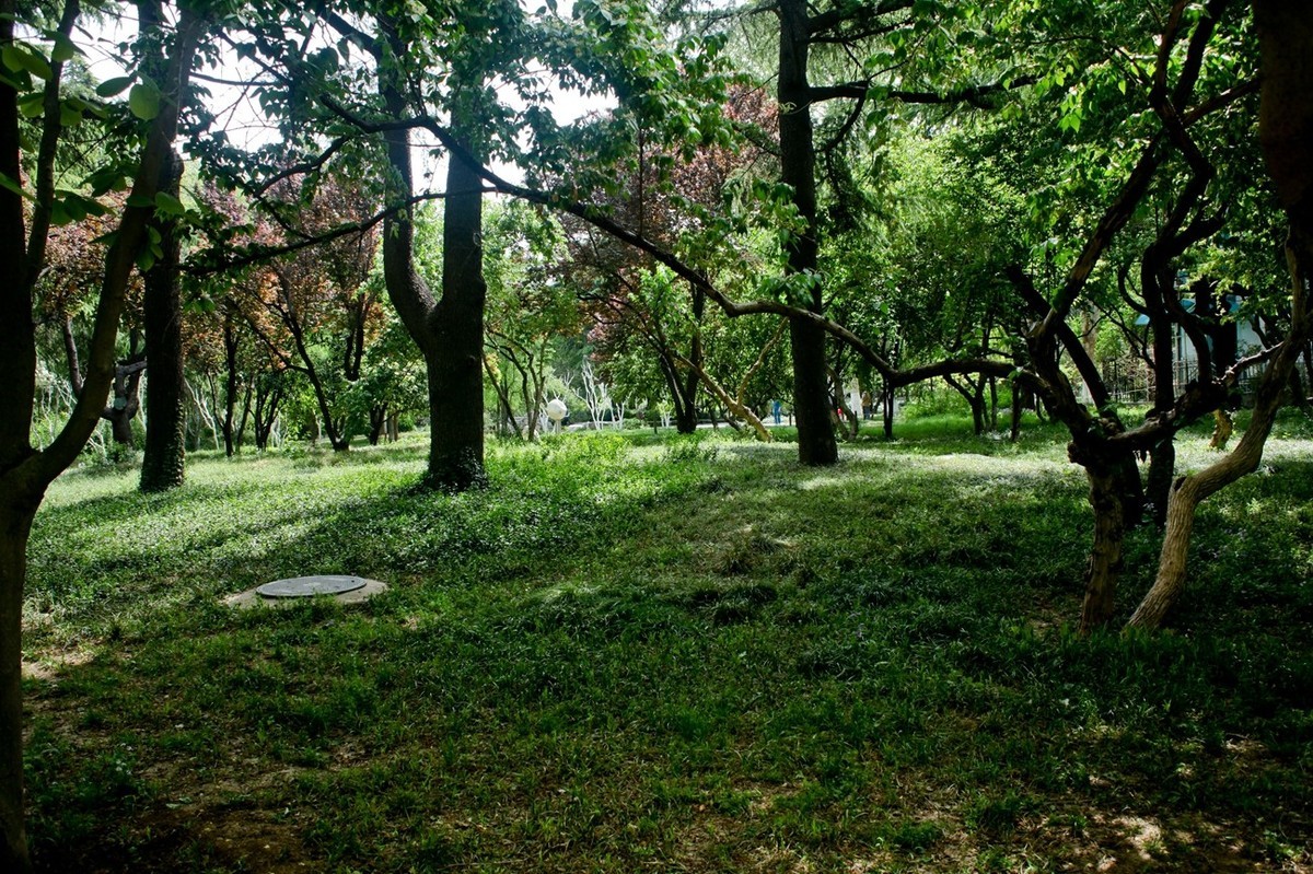 杂拍——春日踏青