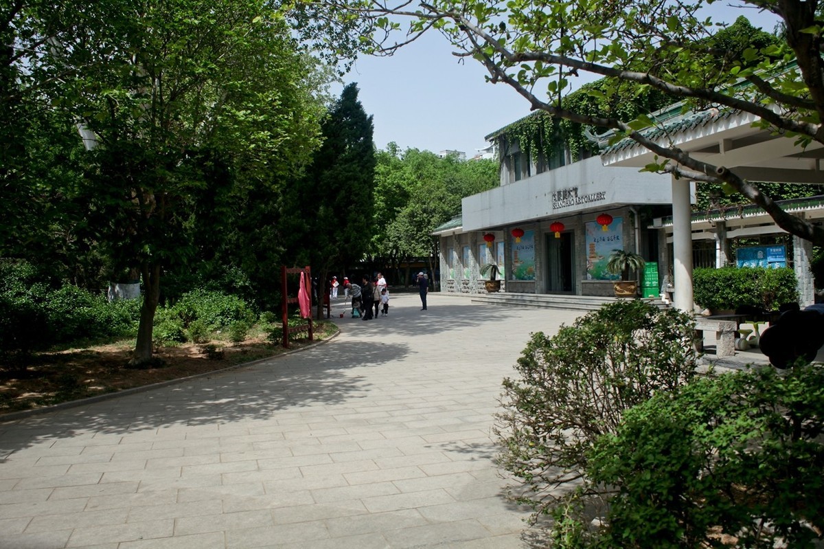 杂拍——春日踏青