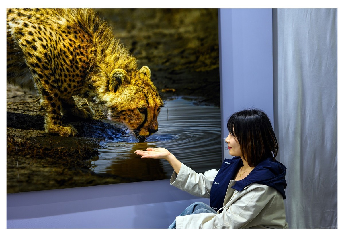 一组近期人像拍摄