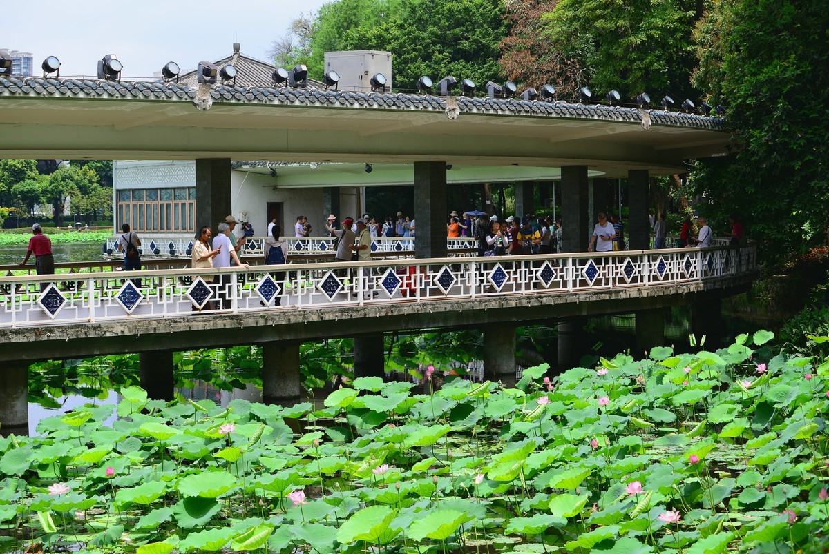 拍荷公园-荔湾湖。