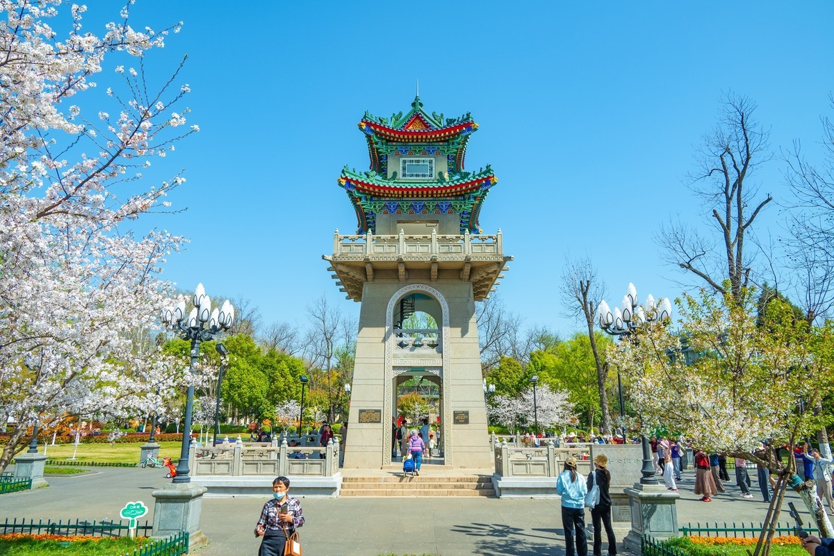 江南行—南京街景—(41)—(1)