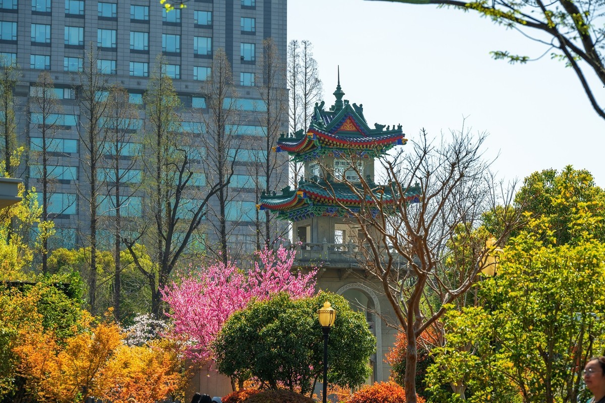 江南行—南京街景—(41)—(1)