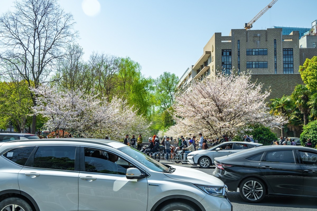 江南行—南京街景—(41)—(1)