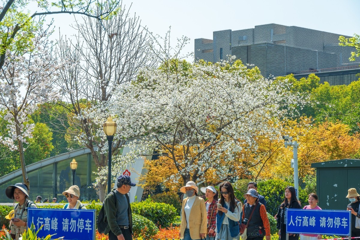 江南行—南京街景—(41)—(1)