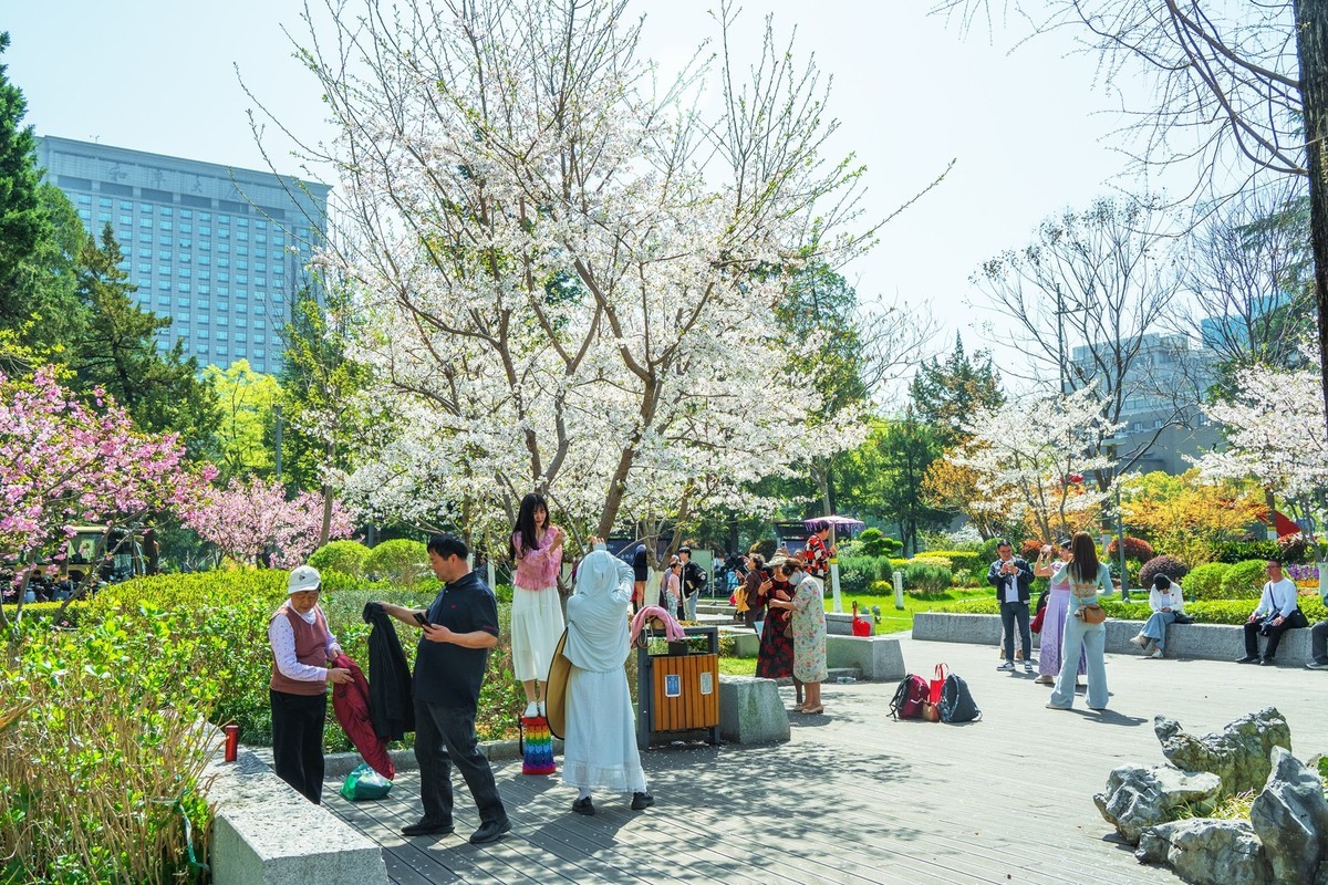 江南行—南京街景—(41)—(1)