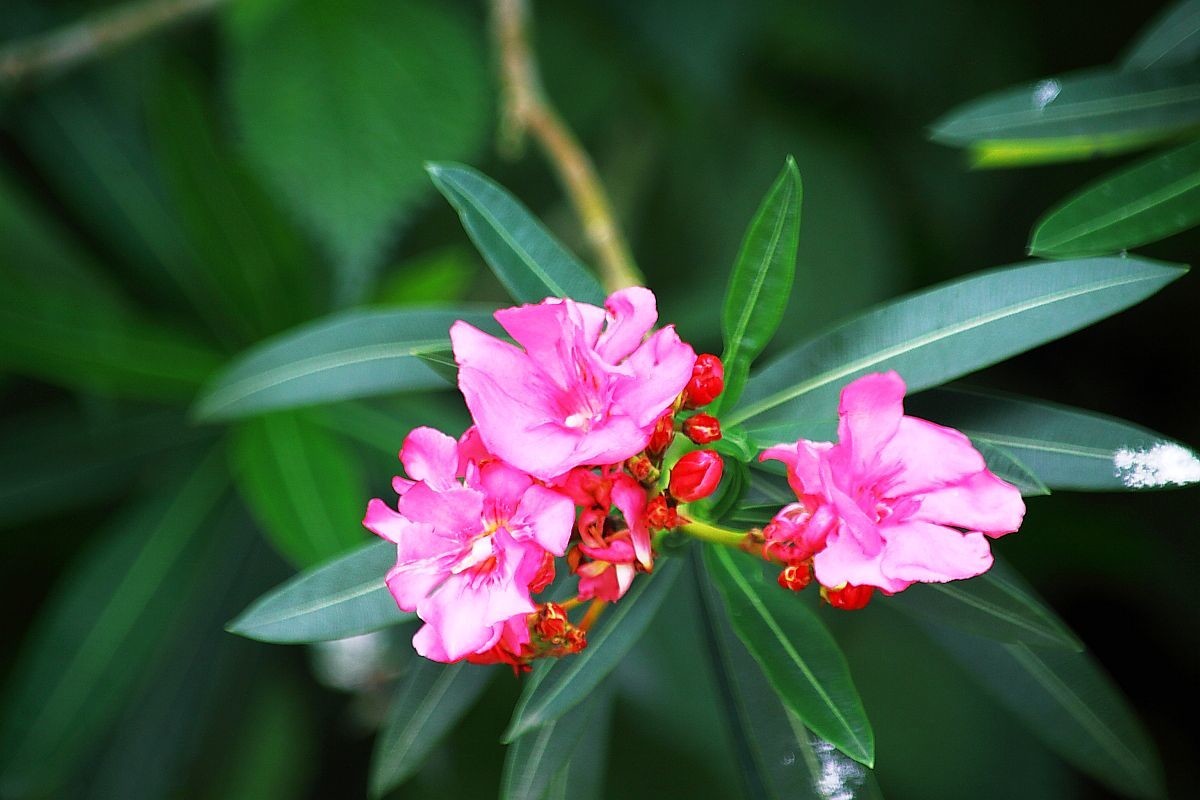 重庆大圆祥私人博物馆（五）