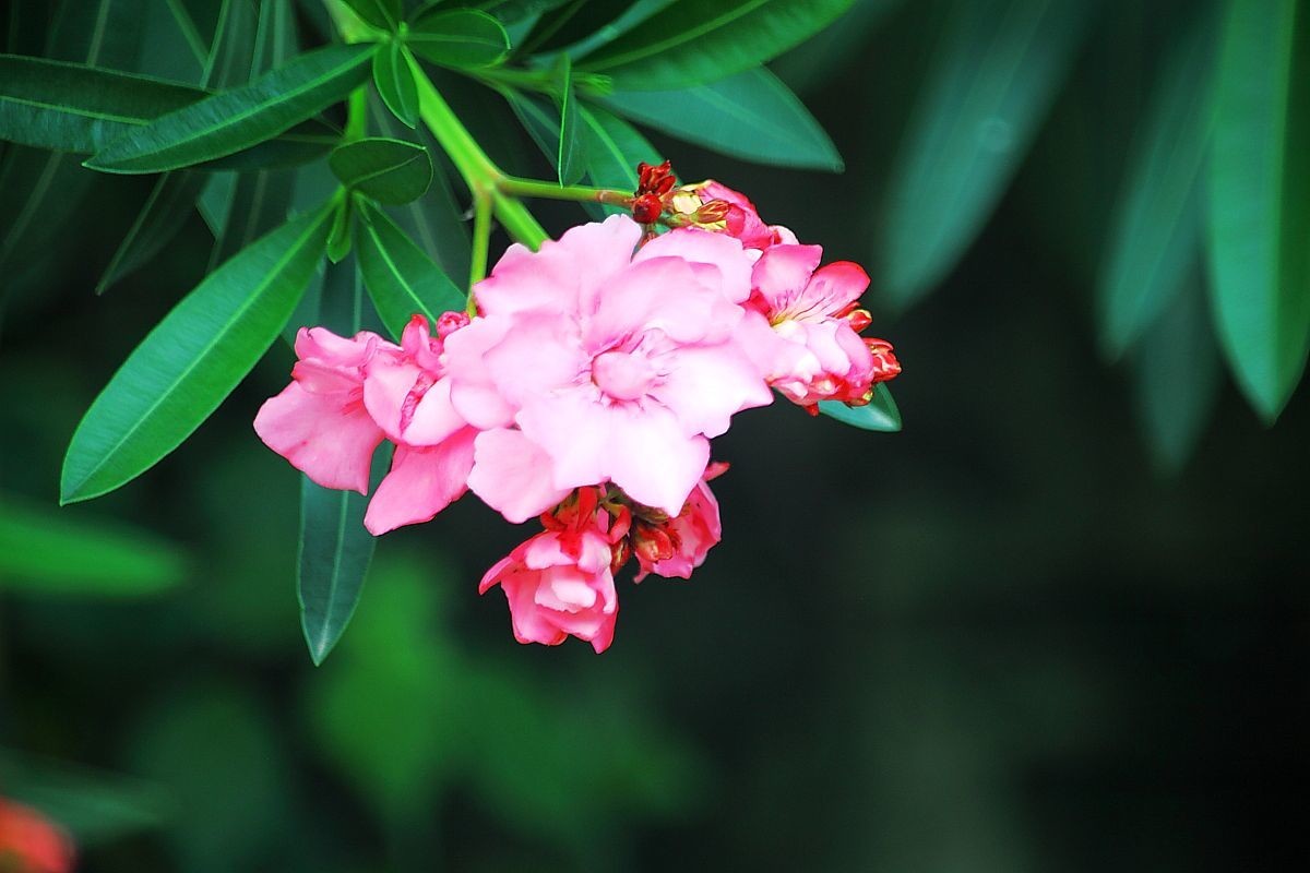 重庆大圆祥私人博物馆（五）