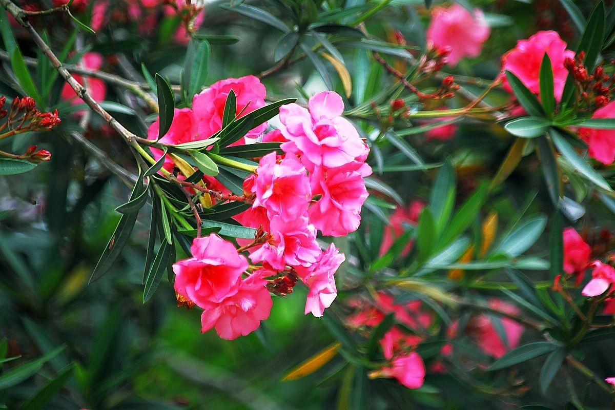 重庆大圆祥私人博物馆（五）