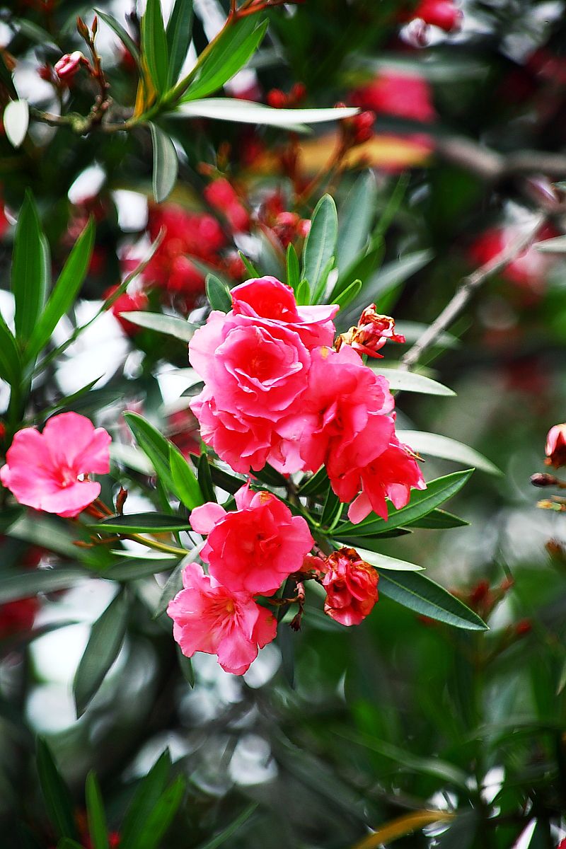 重庆大圆祥私人博物馆（五）