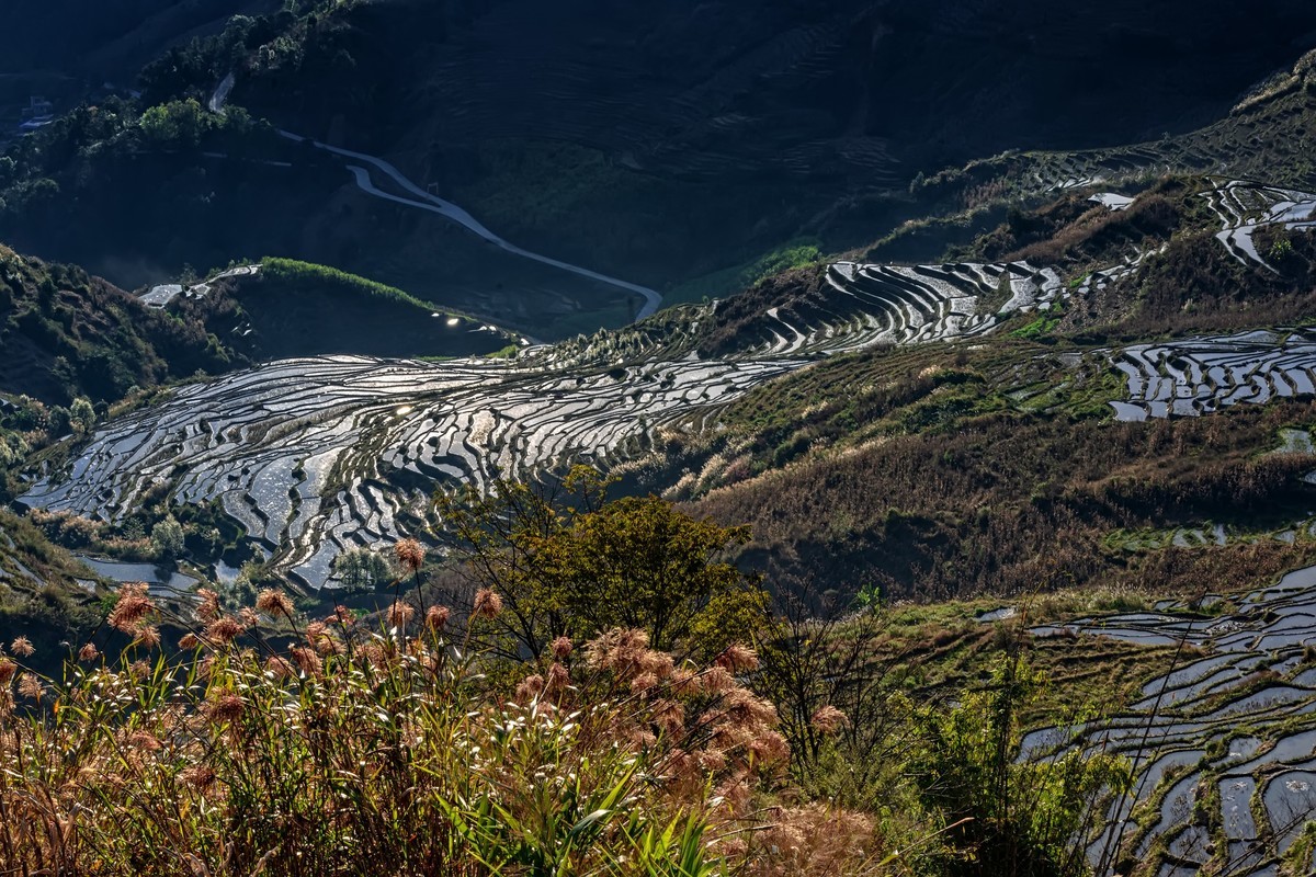 元江梯田风景名胜区图片