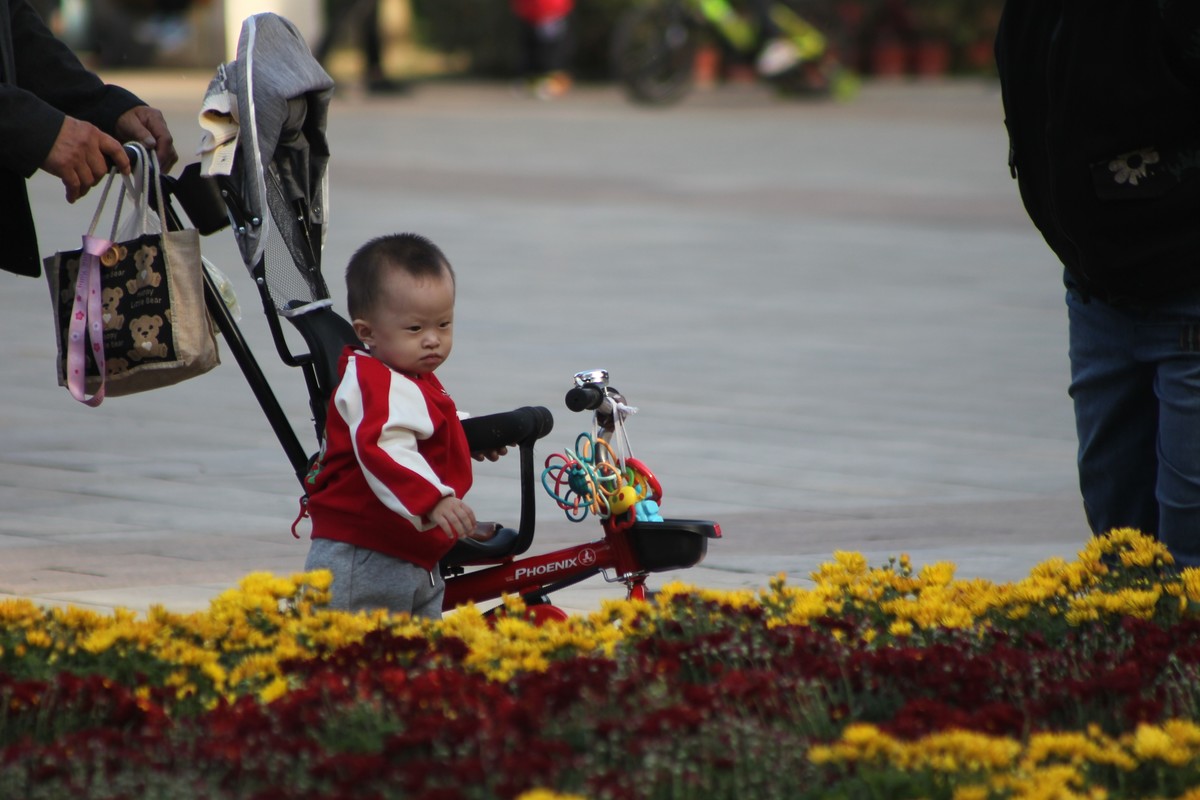 乌海秋菊展（原片）