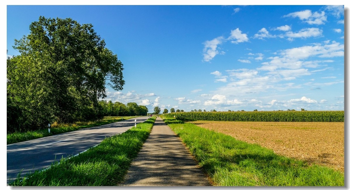 骑行游拍（南德）