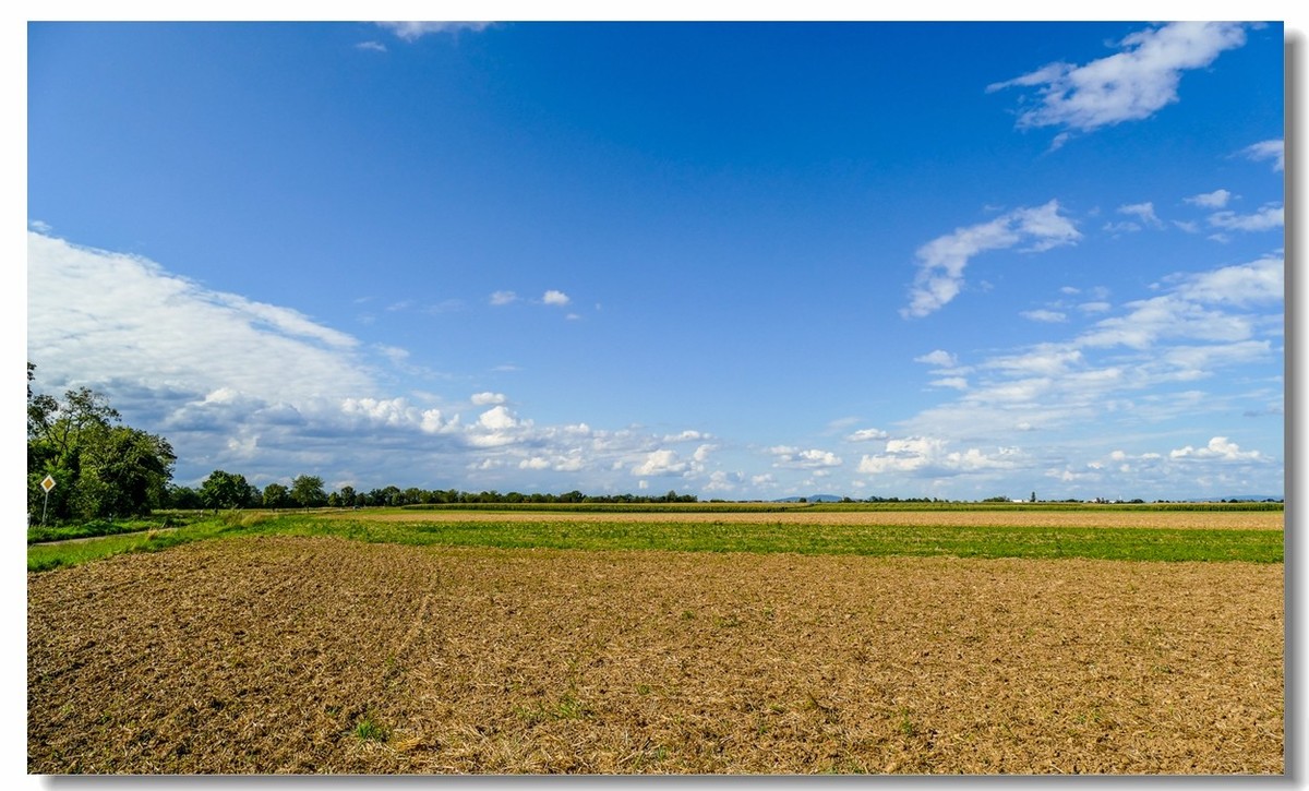骑行游拍（南德）