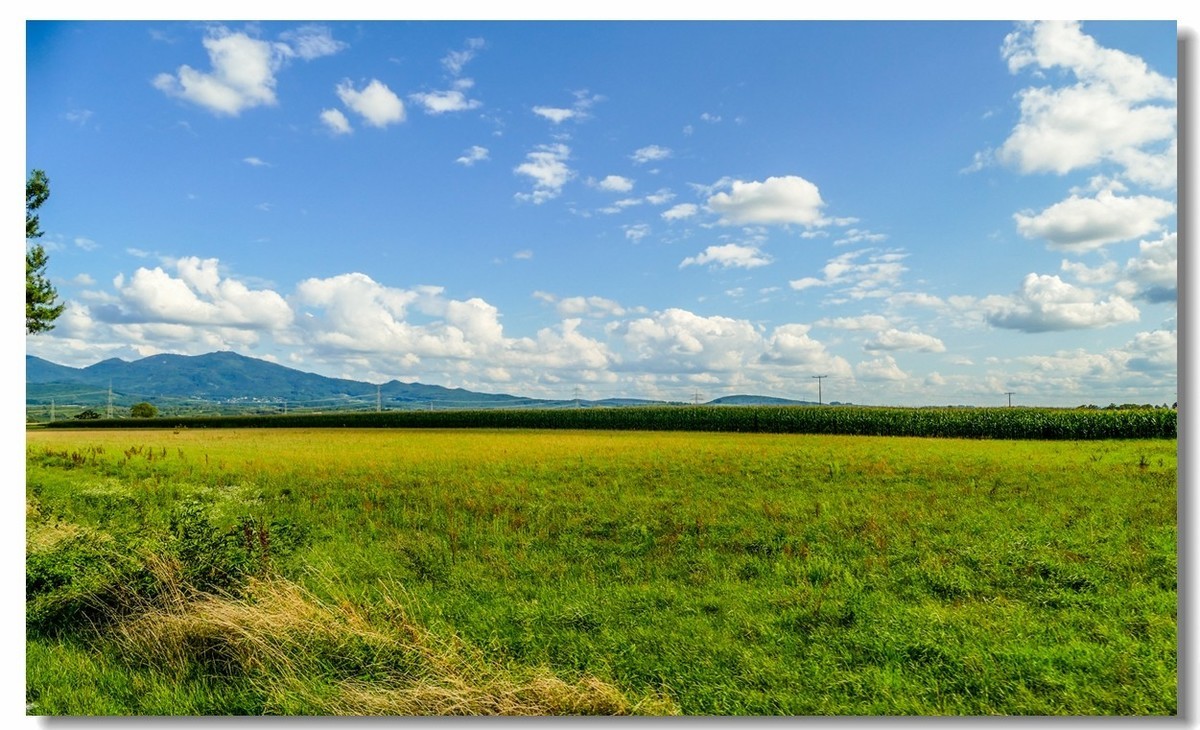 骑行游拍（南德）