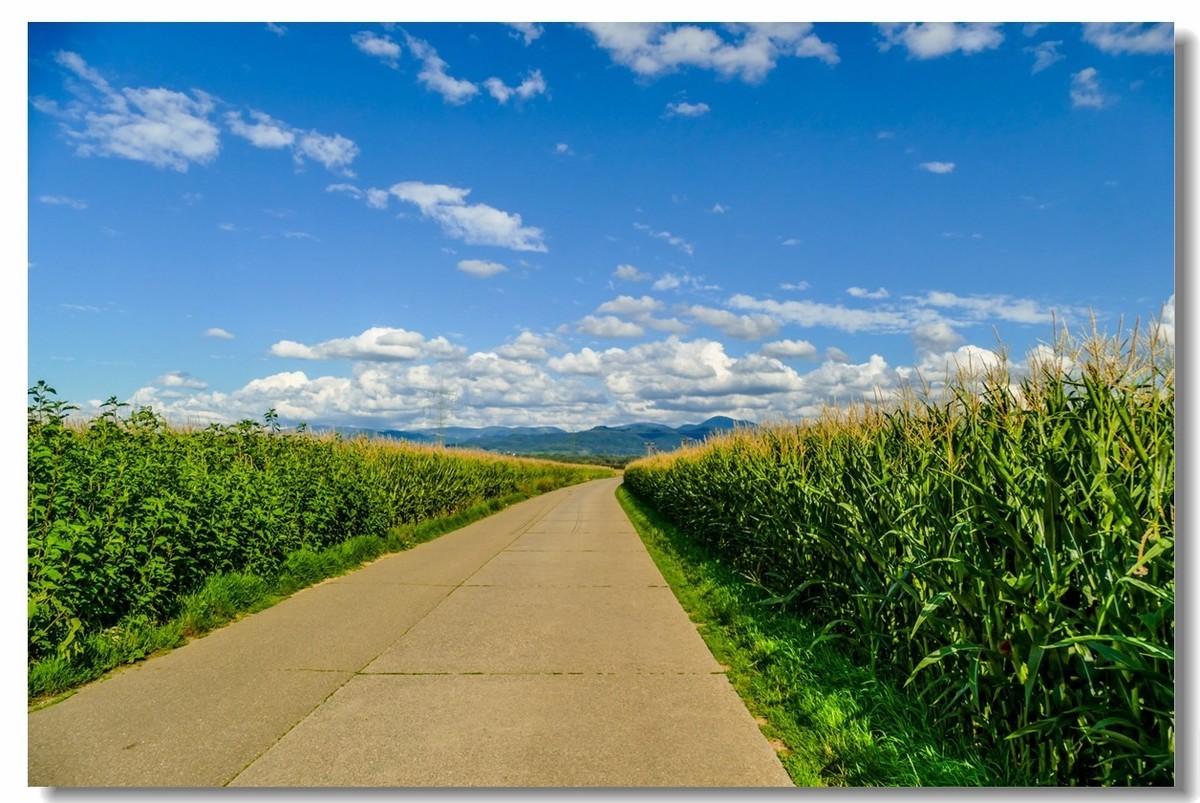 骑行游拍（南德）