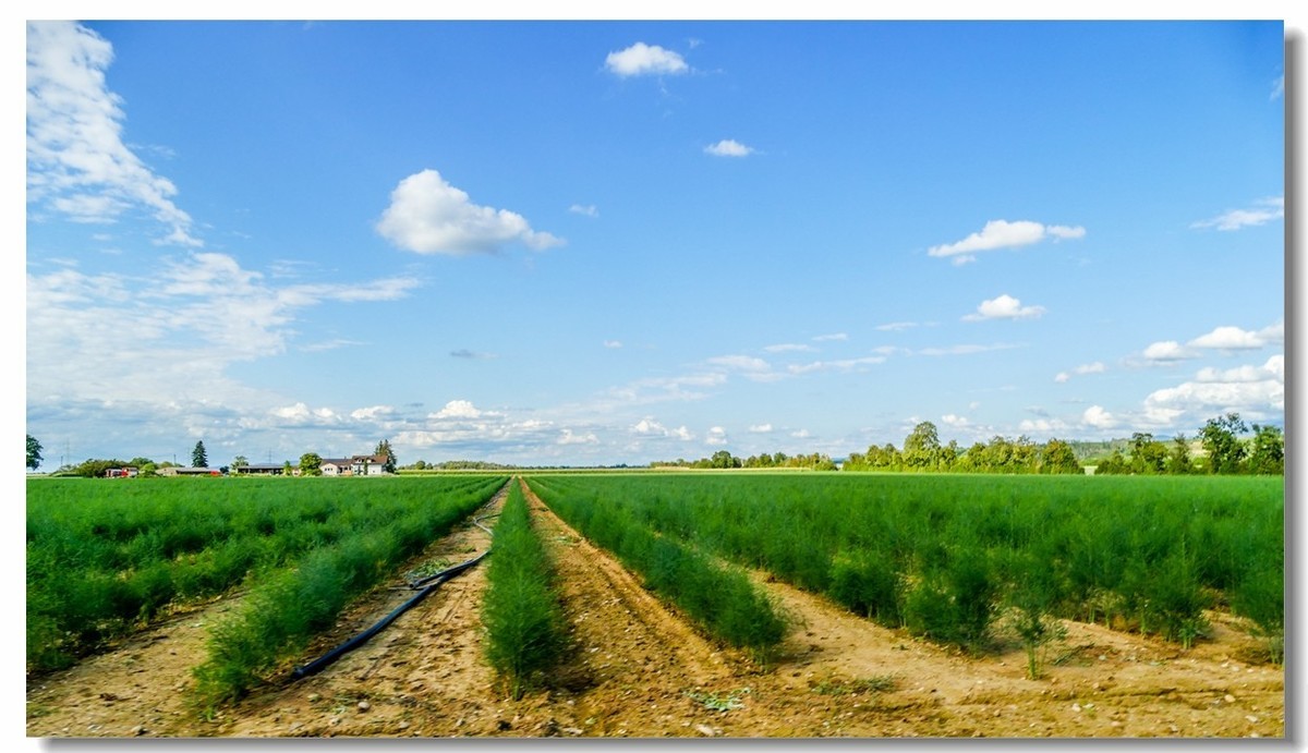 骑行游拍（南德）