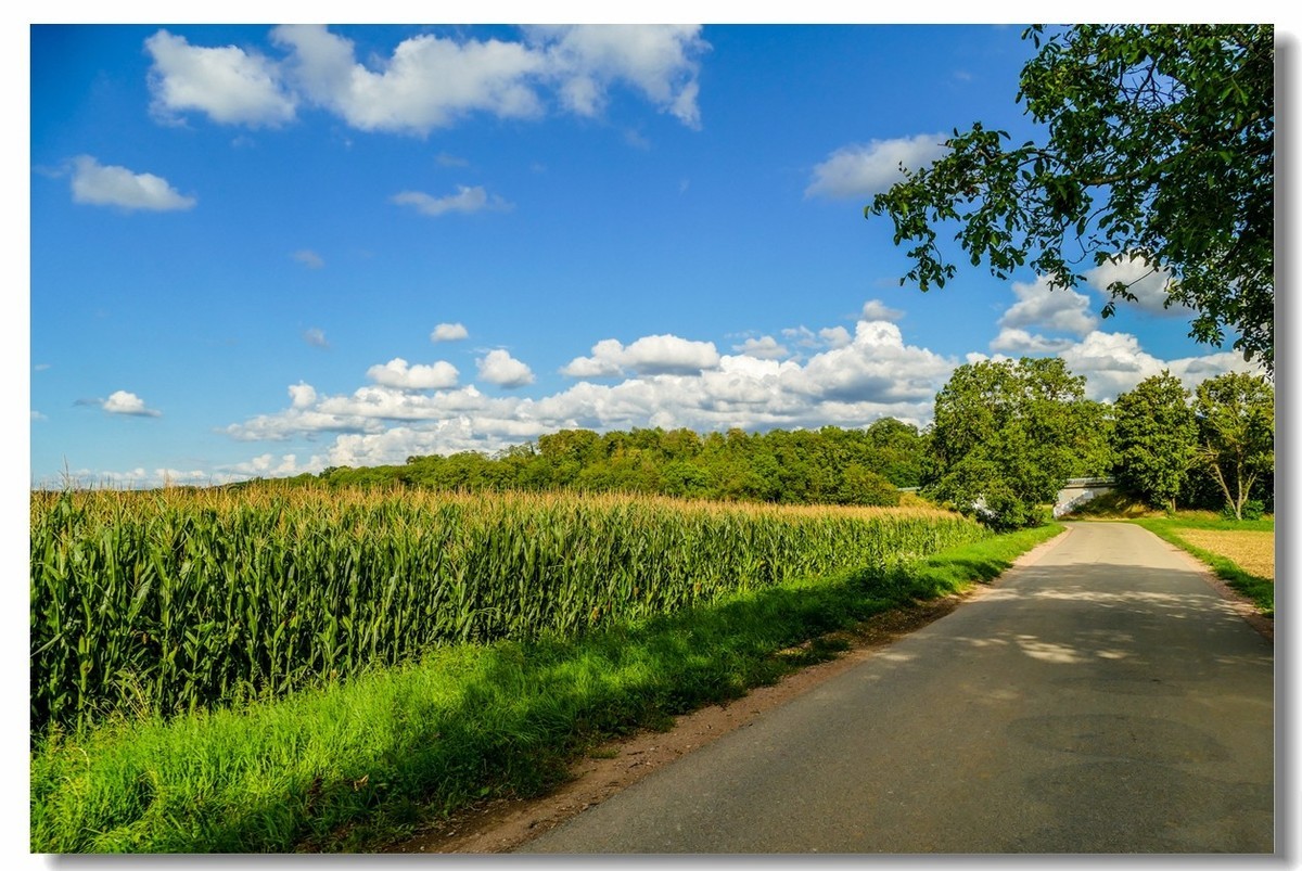 骑行游拍（南德）