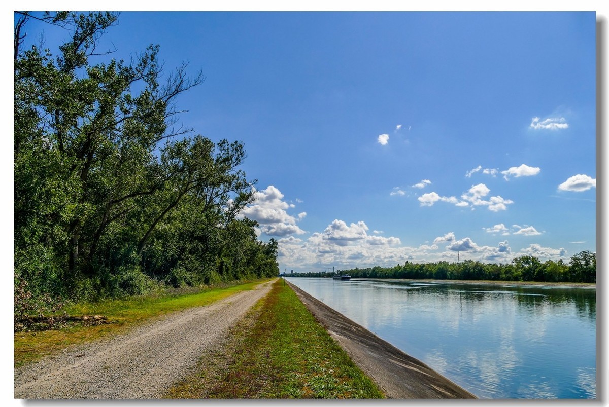 德法之母亲河--莱茵大运河