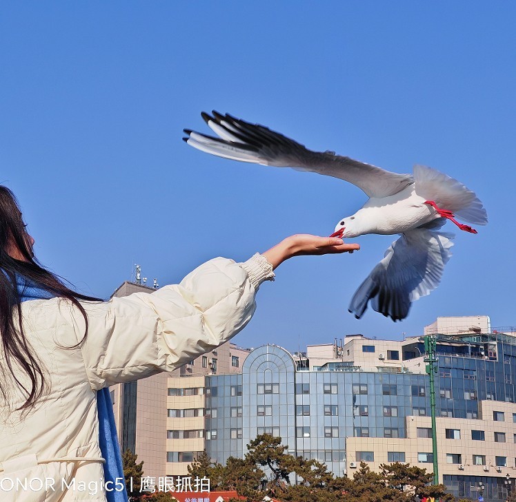 冬季杂拍乱七八糟《风景，海鸥和妹子》抢个位欣赏！哈哈！！