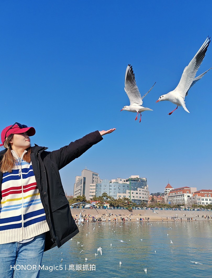 冬季杂拍乱七八糟《风景，海鸥和妹子》抢个位欣赏！哈哈！！