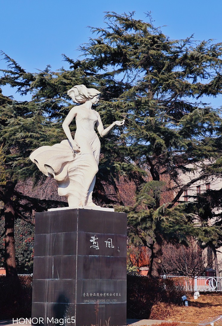 冬季杂拍乱七八糟《风景，海鸥和妹子》抢个位欣赏！哈哈！！