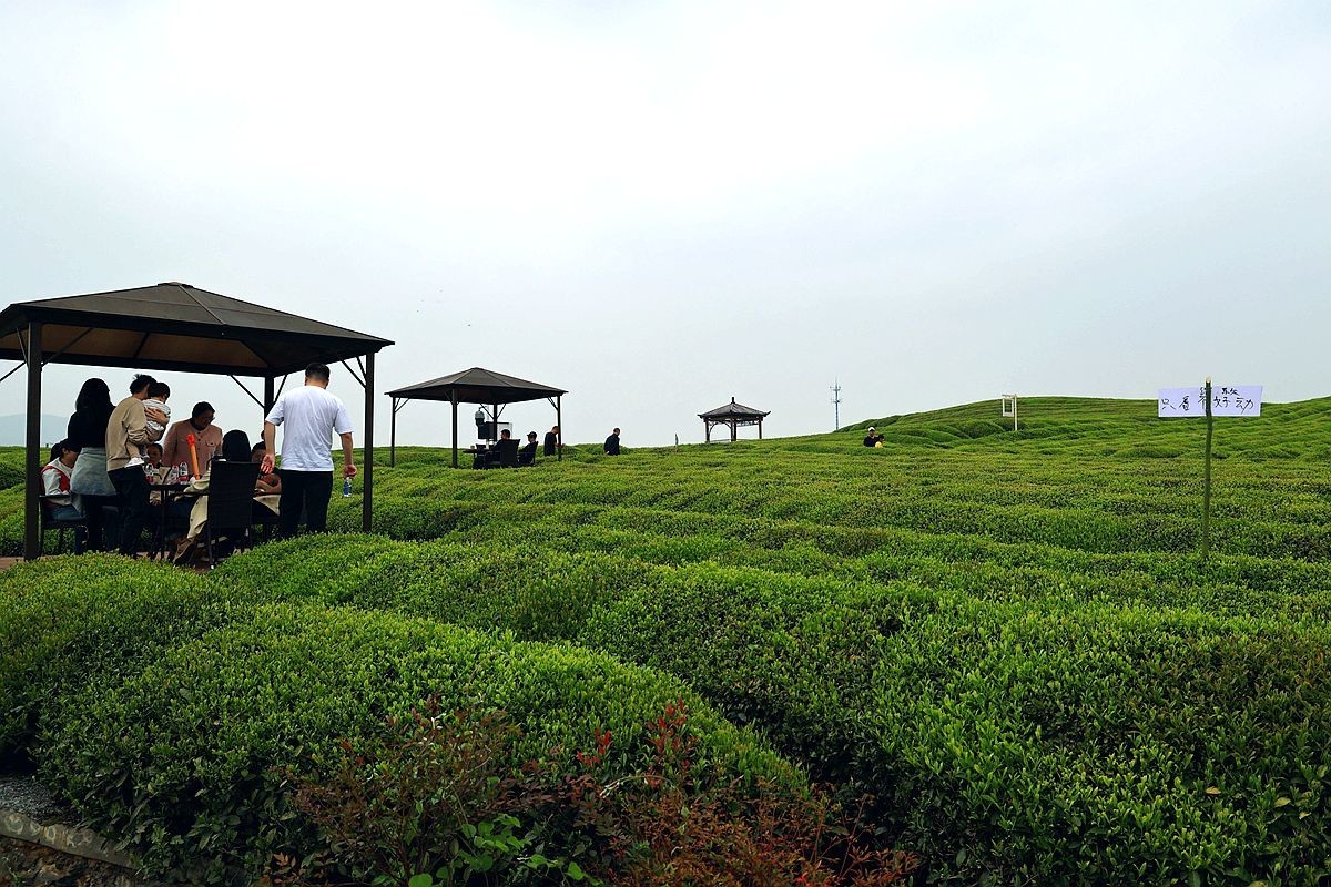 杭州余杭径山茶园游拍（二）