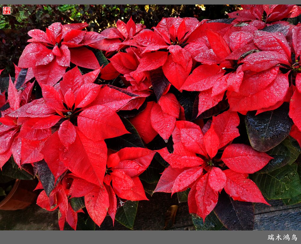 【印象潮汕】13.贤德之地，文脉相承的潮州韩文公祠