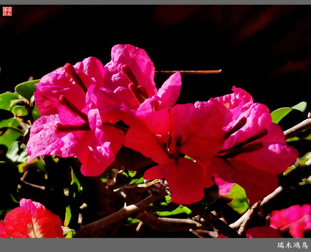 【印象潮汕】13.贤德之地，文脉相承的潮州韩文公祠