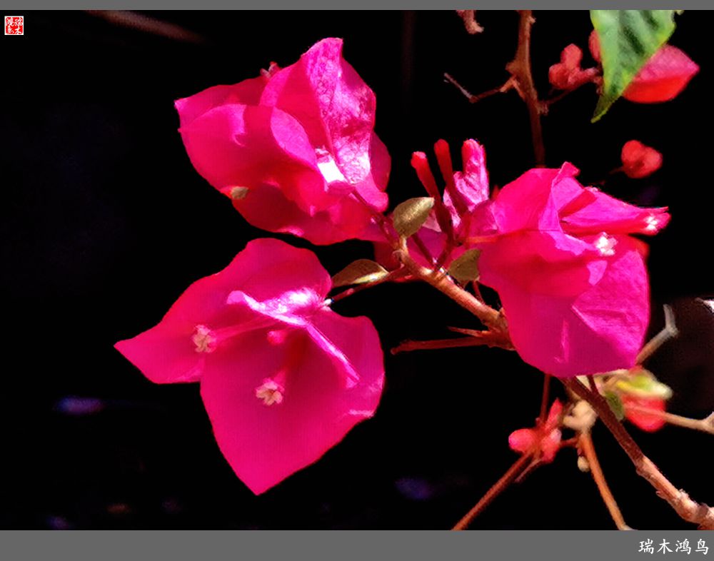 【印象潮汕】13.贤德之地，文脉相承的潮州韩文公祠