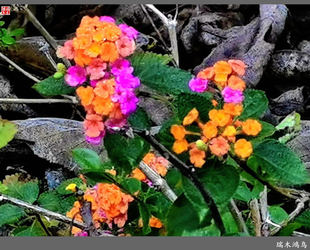 【印象潮汕】13.贤德之地，文脉相承的潮州韩文公祠