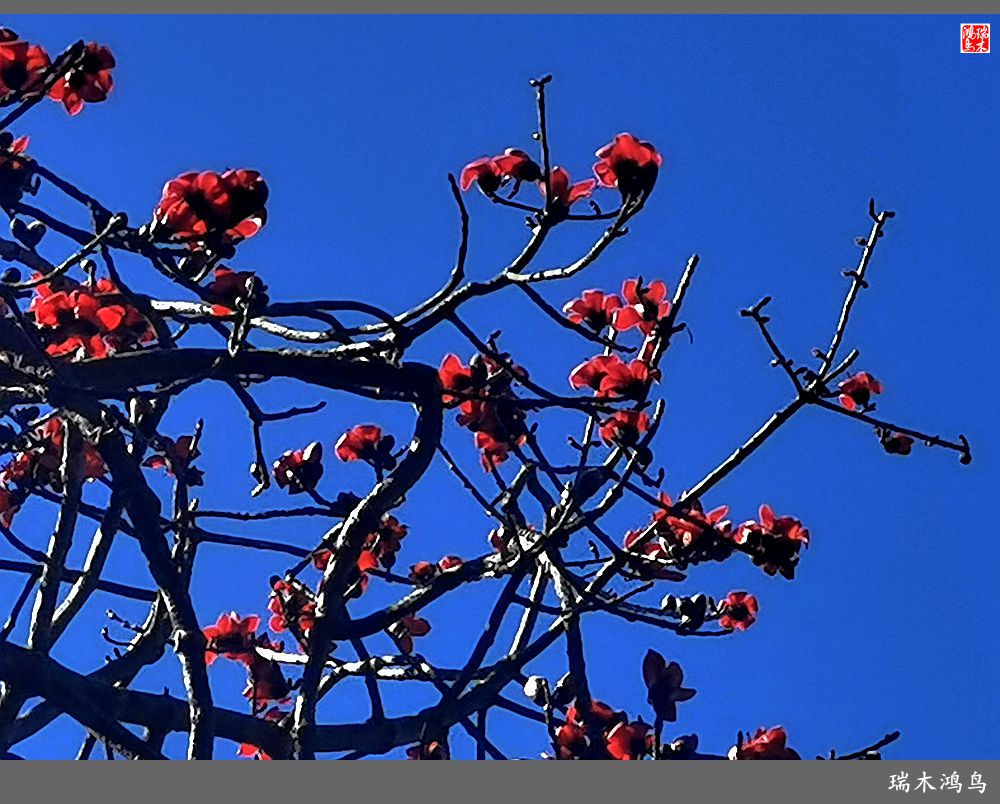【印象潮汕】13.贤德之地，文脉相承的潮州韩文公祠