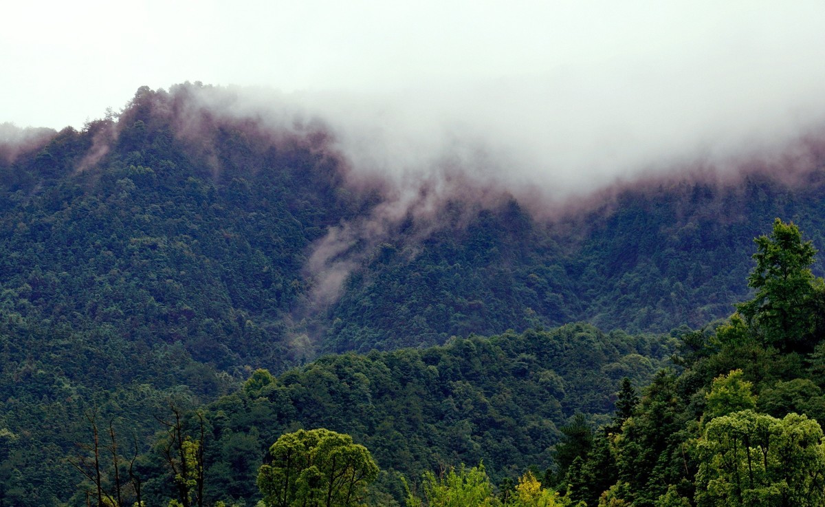 雨后山峦轻烟飘