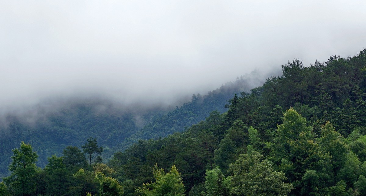 雨后山峦轻烟飘