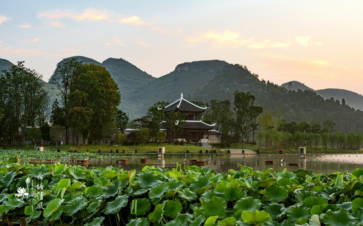 加油之城，美美安龙。晨雾中的招堤景区，十里荷塘风光。