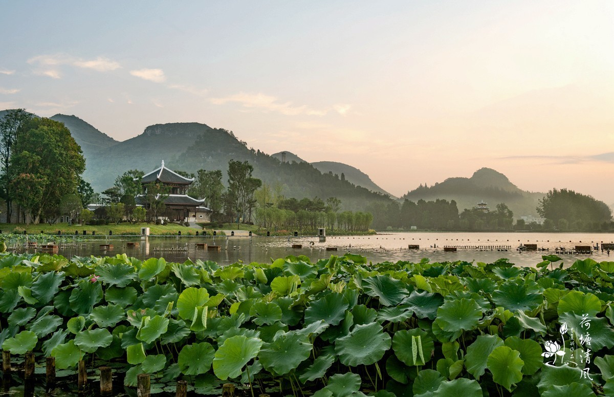 加油之城，美美安龙。晨雾中的招堤景区，十里荷塘风光。
