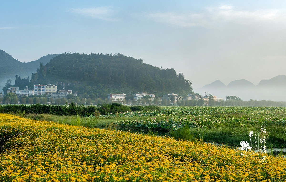 加油之城，美美安龙。晨雾中的招堤景区，十里荷塘风光。