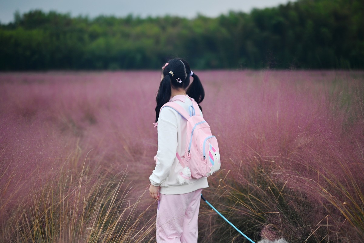 国庆游皖南山门粉黛花海随拍三