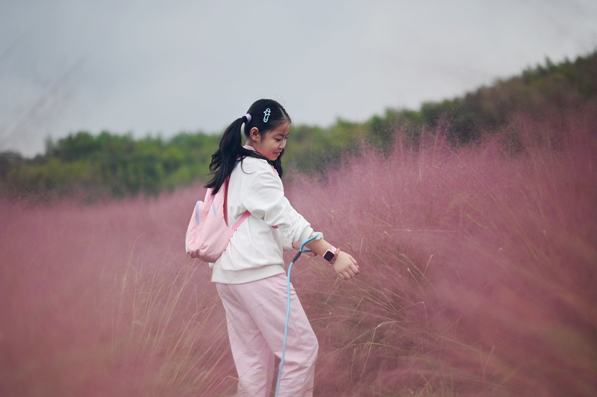 国庆游皖南山门粉黛花海随拍三