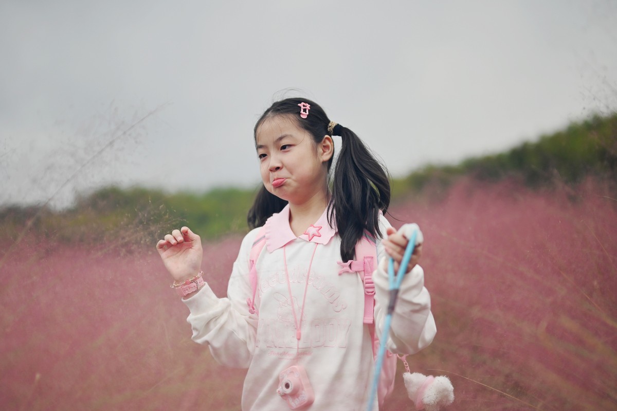 国庆游皖南山门粉黛花海随拍三