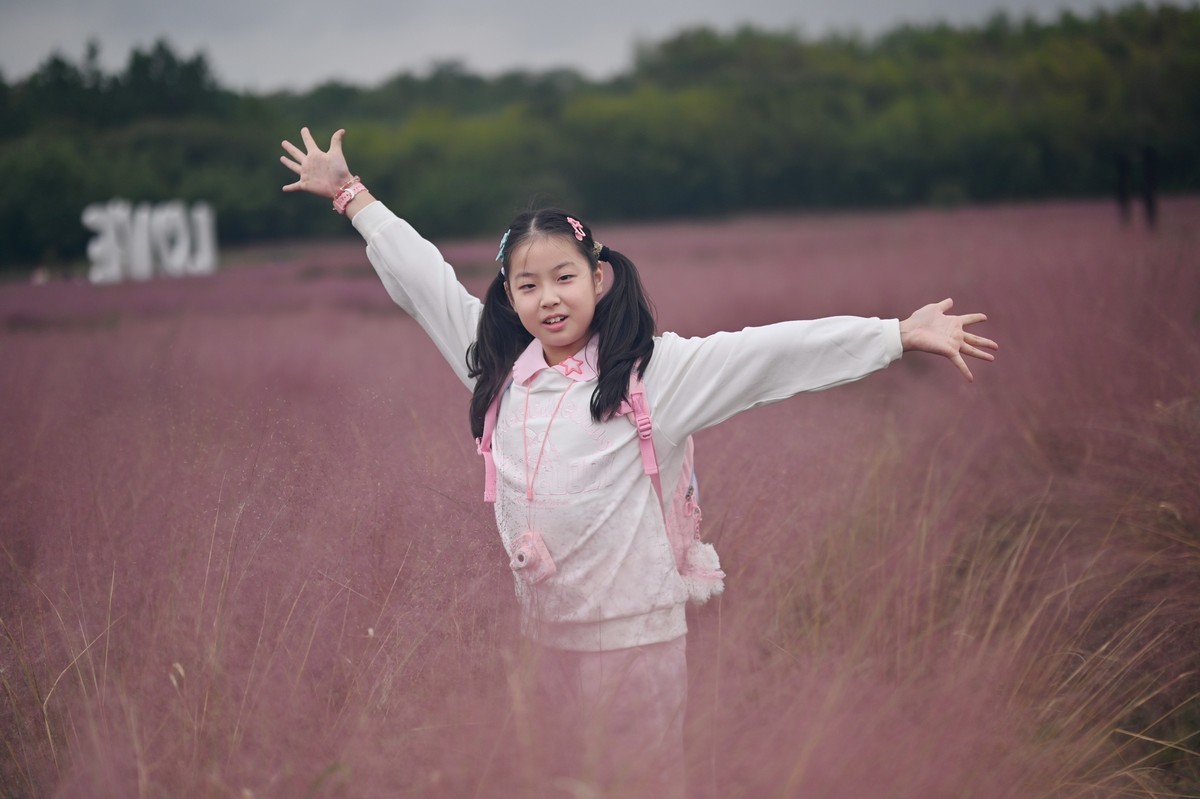 国庆游皖南山门粉黛花海随拍三