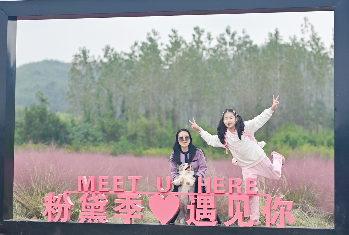 国庆游皖南山门粉黛花海随拍六