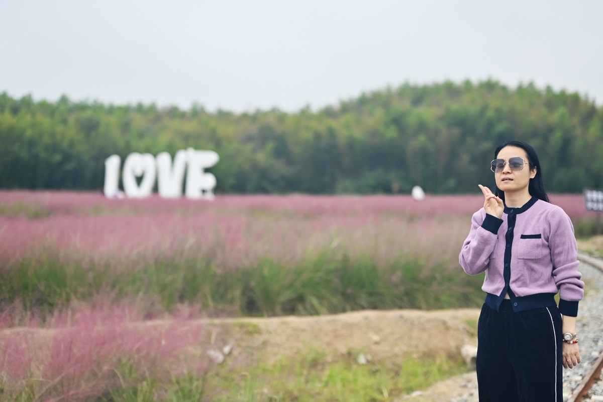 国庆游皖南山门粉黛花海随拍六