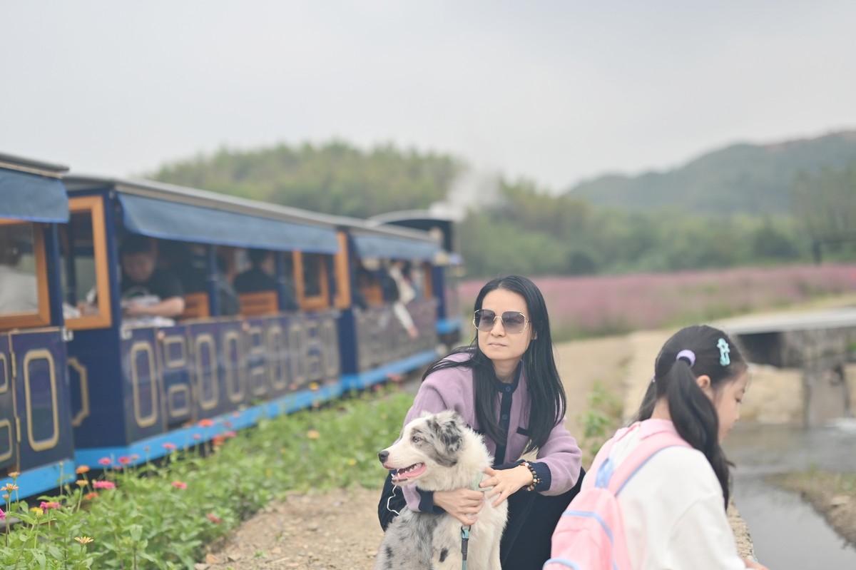 国庆游皖南山门粉黛花海随拍六