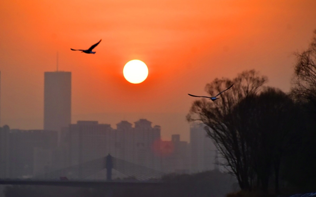 今日冬至   黄河精彩
